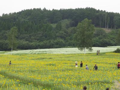 chokoっと散歩～晩夏の八戸をぐるりと回ってみました～