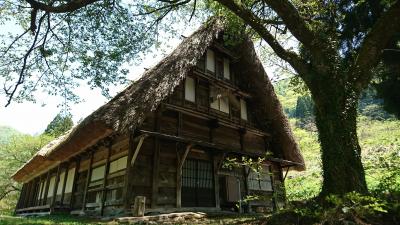 黒部アルペンルートと五箇山の旅：07菅沼集落と五箇山集落