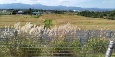 北海道黒岳、旭岳で、日本一早い紅葉をみたい