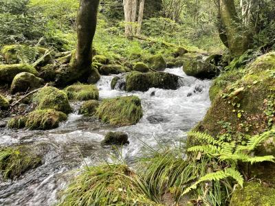 鳥取一人旅：山と川と海と酒①（9/23.24）