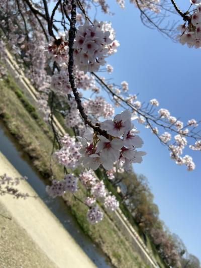 関西でテレワーク　京都編