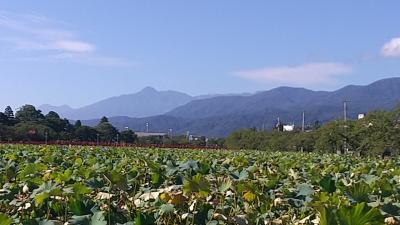 半年ぶりの帰省