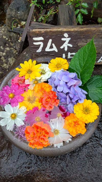 半年ぶりの帰省 二日目～最終日