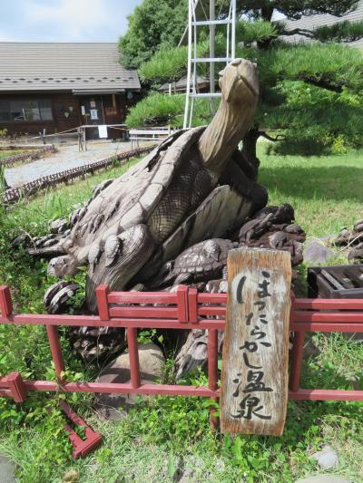 心の安らぎ旅行（2022年９月 山梨 ほったらかし温泉 Part2)