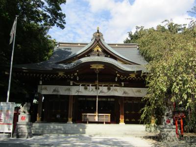 鈴鹿明神社（座間市入谷1）