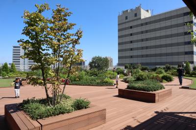東京の空中庭園・・アトレ恵比寿の「エビスグリーンガーデン」と「アトレ空中花園」を訪ねます。