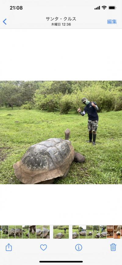 ガラパゴス個人旅行　女子二人旅