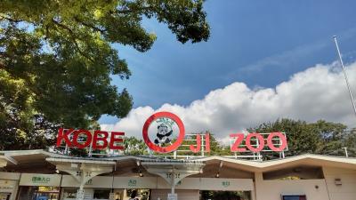 神戸旅行2日目～王子動物園・有馬温泉～