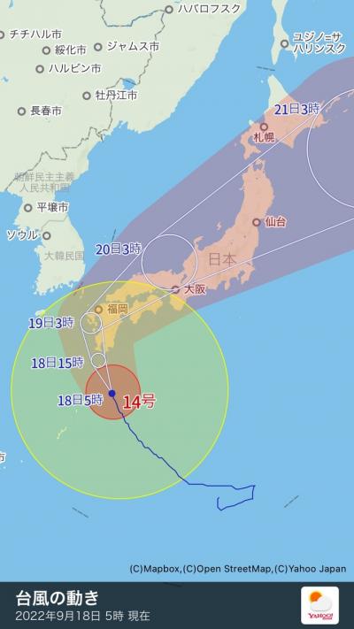 ヒコーキに乗ろう！2022 015便　どこかにマイルで参る　九州物産展　予告編