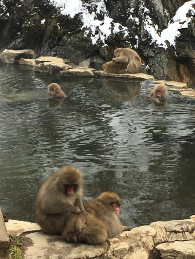 竜王・湯田中２泊４日～スノボ、温泉、ちょこっと観光のお正月～