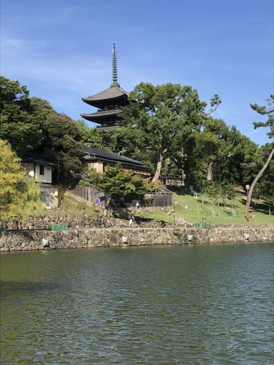 久々の奈良。ベトナム料理とちょい呑みと、ちょっとだけ観光の半日一人旅。