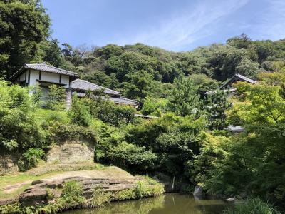 ゆっくり過ごす鎌倉と横浜