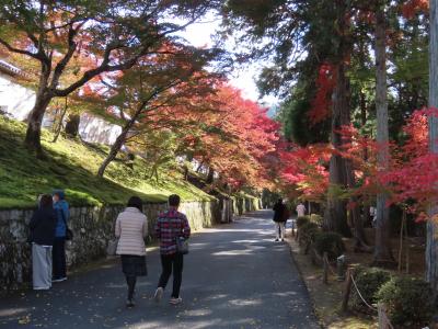 京都 洛北 曼殊院門跡(Manshuin Monzeki Temple,Rakuhoku,Kyoto,Japan)