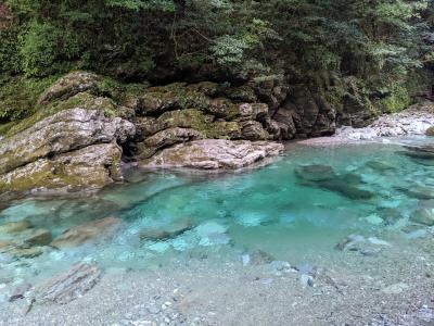 どこかにマイルで家族旅行～高知へ②