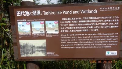 ｛帝国ホテル｝上高地梓川の清流　２０２２年夏季　No１３