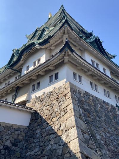 隣県からだけど飛行機で名古屋城に行こう