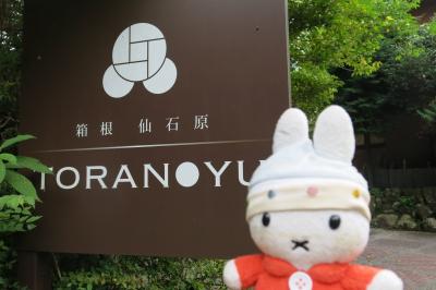 コニヘー、かながわ旅割で箱根仙石原へ行く！（仙石原/虎乃湯さん、サイコー！編）