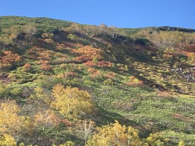 北海道の紅葉~いのちの洗濯に (銀泉台)