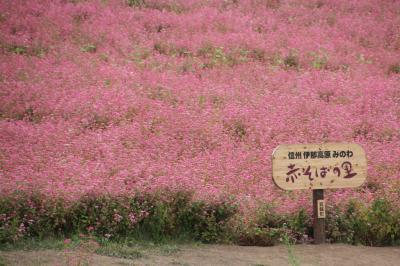 伊那高原赤そばの里