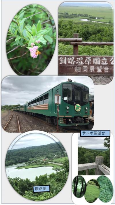 「釧路2日目前半」和商市場~釧路湿原細岡展望台～ノロッコ電車~釧路湿原サルボ展望台~ 霧の幣舞橋