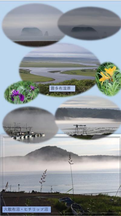 「釧路2日目後半」釧路湿原~厚岸で弁天牡蠣に舌つづみ～火散布沼で幻想的な霧～琵琶瀬展望台～霧多布湿原