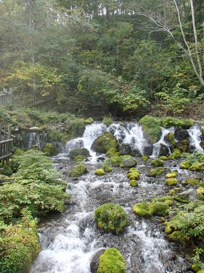 初！株主優待を使って北海道旅行2日目