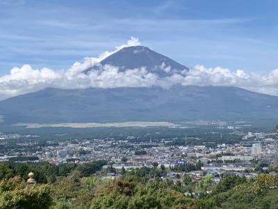 御殿場、緑の中の散歩