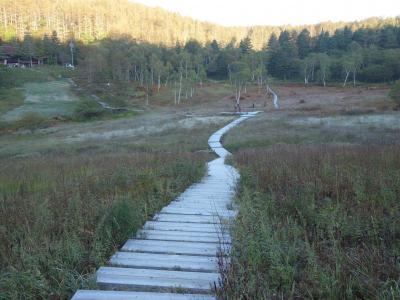 入笠山の湿原を早朝散歩。気分がいいですね。