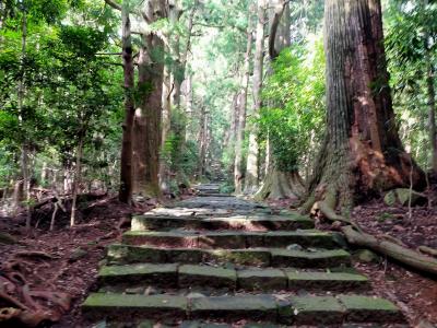 県民割りで再びの和歌山～勝浦温泉で大当たりリフレッシュの旅 2日目