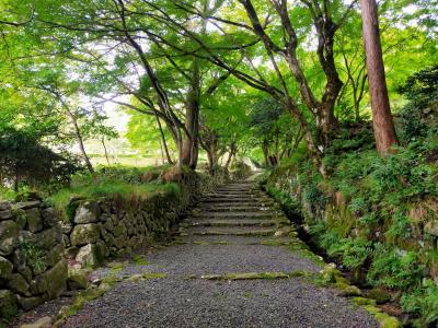 滋賀日野商人と湖東三山、戦国遺産巡り