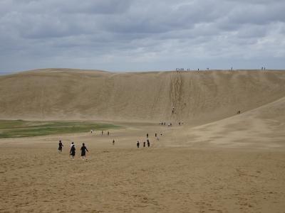 島根出雲大社から鳥取砂丘　皆生温泉でぬくぬく（２）