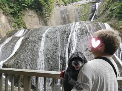 日帰り犬連れの旅