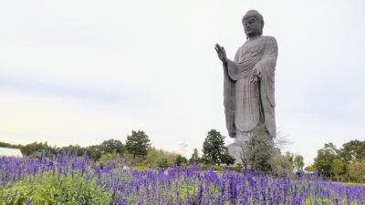 【2022.10 土浦･つくば･牛久】~霞ヶ浦/牛久大仏~【47都道府県一人旅 #27 茨城編】