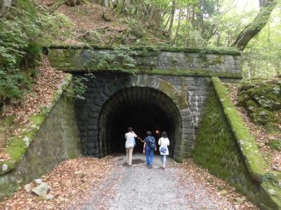 2022秋 伊豆２：日本の滝100選の浄蓮の滝、旧天城トンネルを歩いて天城越え