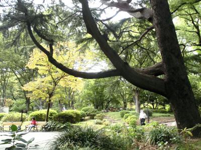 ミッドタウン日比谷から日比谷公園へ！