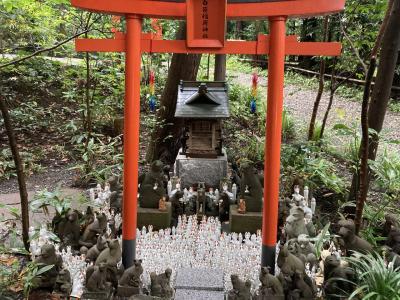 初秋の頭高山はヤマビルに注意