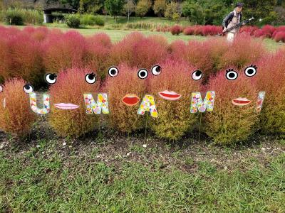 母・弟と行く秋の馬見丘陵公園フラワーフェスタ～可愛いコキアを楽しんできました♪