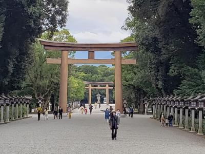 母・弟と行く橿原神宮～七五三の子供ちゃんたちが可愛かったです( *´艸｀)