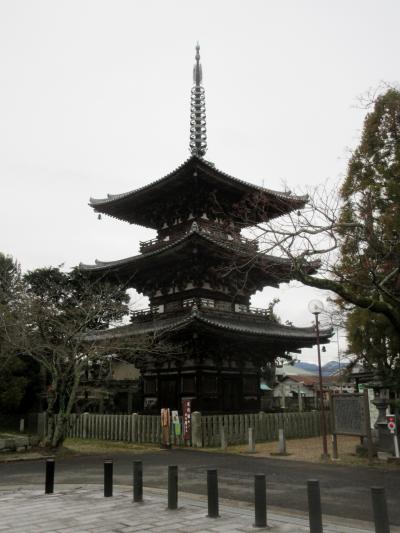 むかしからあるホテルに泊まる旅 百済寺三重塔 興福寺編