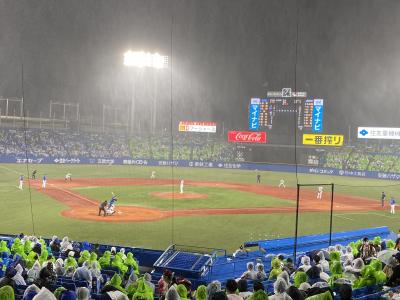 2022年9月　ヤクルト優勝なるか！？雨中のナイター観戦