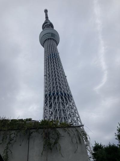 5歳、3歳、8ヶ月　1泊2日東京旅①