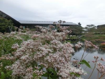 紅葉には早いけれど・・・1泊2日の第2日目です。