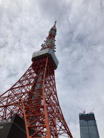 5歳、3歳、8ヶ月　1泊2日東京旅②