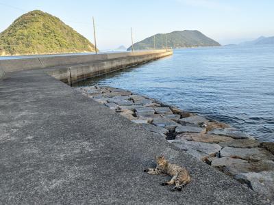 週１便だけの本四連絡航路で真鍋島・佐柳島へ(真鍋島～佐柳島～多度津)