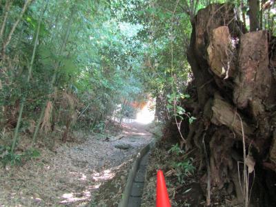 根下地区の切通群（座間市入谷5）