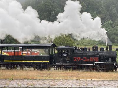 7・9歳児連れ、友人たちと千歳から上富良野3泊4日旅行：美瑛・上富良野編