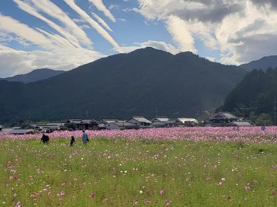 JOECOOLさんご家族と行く丹波~モンブランもピザもコスモスも滝もお寺も、よくばり旅(^^)/