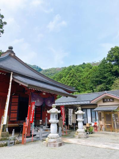 鳥好き夫婦の箱根・厚木旅行1泊2日