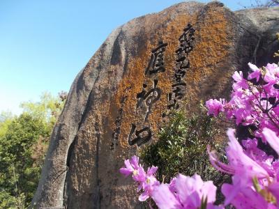 春の応神山ハイキング