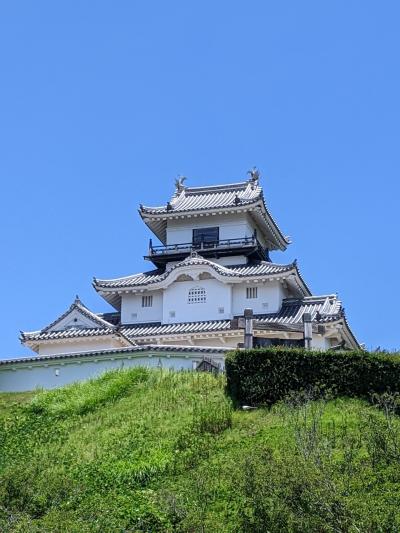 初夏の掛川　お城と百合